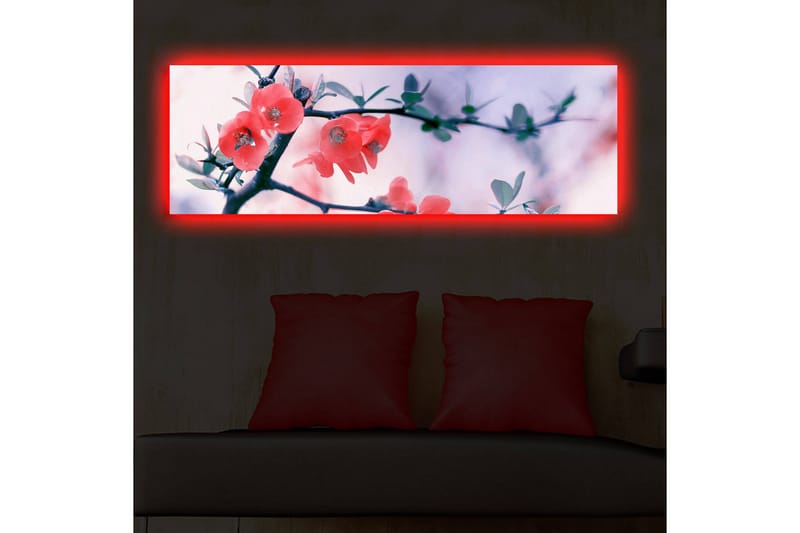 Koristeellinen Led valaistu Canvas Taulu - Sisustustuotteet - Taulu & taide - Canvas-taulu