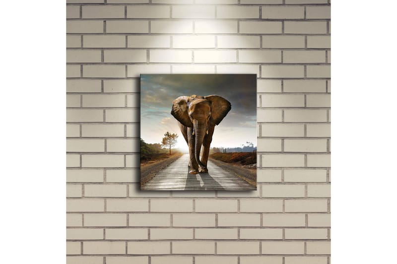 Koristeellinen Led valaistu Canvas Taulu - Sisustustuotteet - Taulu & taide - Canvas-taulu
