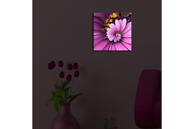 Koristeellinen Led valaistu Canvas Taulu - Sisustustuotteet - Taulu & taide - Canvas-taulu