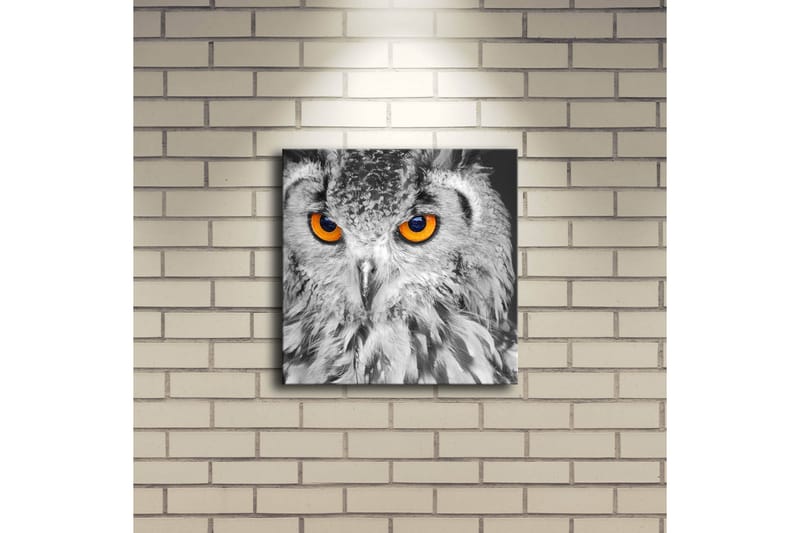 Koristeellinen Led valaistu Canvas Taulu - Sisustustuotteet - Taulu & taide - Canvas-taulu