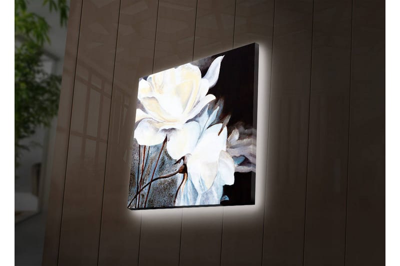 Koristeellinen Led valaistu Canvas Taulu - Sisustustuotteet - Taulu & taide - Canvas-taulu