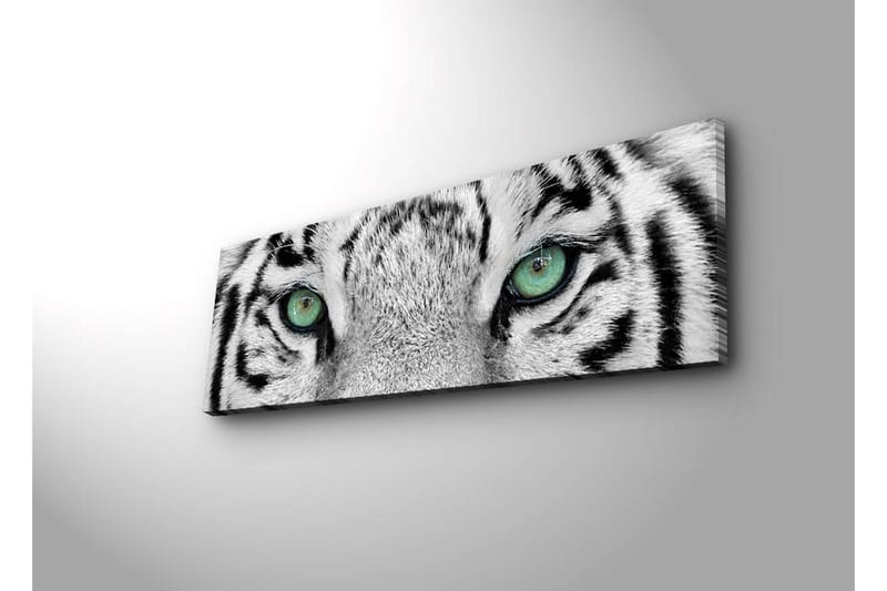 Koristeellinen Led valaistu Canvas Taulu - Sisustustuotteet - Taulu & taide - Canvas-taulu