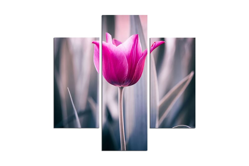 Koristeellinen MDF Maalaus (3 kpl), undefined