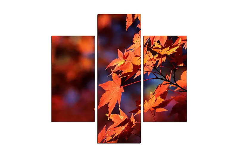 Koristeellinen MDF Maalaus (3 kpl), undefined