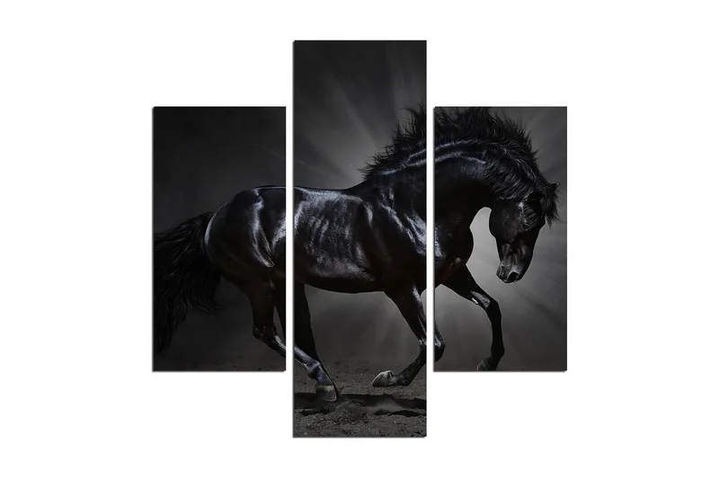 Koristeellinen MDF Maalaus (3 kpl), undefined