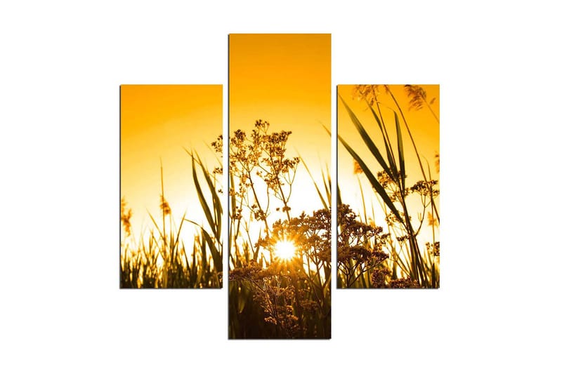 Koristeellinen MDF Maalaus (3 kpl), undefined