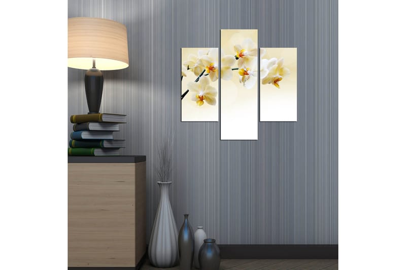 Koristeellinen MDF Maalaus (3 kpl) - Sisustustuotteet - Taulu & taide - Canvas-taulu