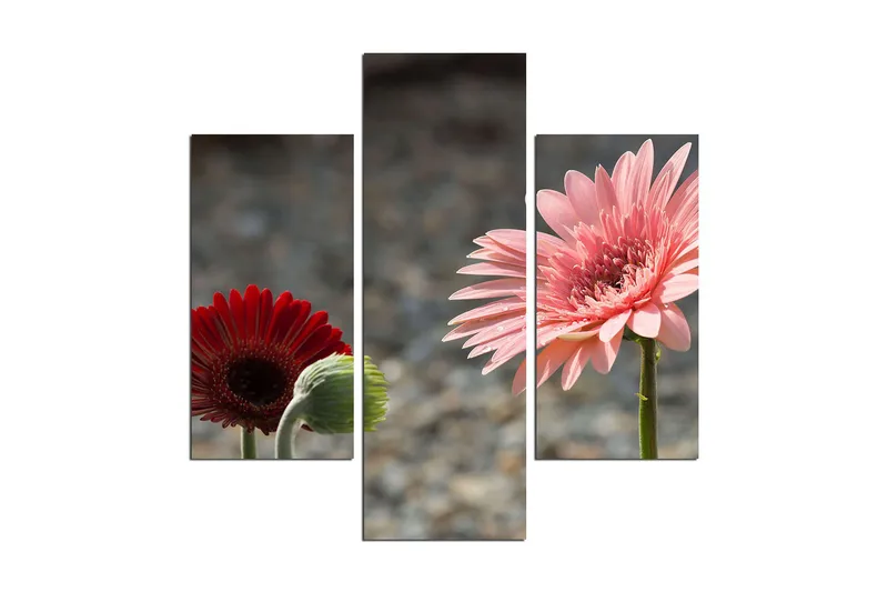 Koristeellinen MDF Maalaus (3 kpl), undefined