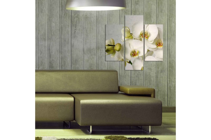 Koristeellinen MDF Maalaus (3 kpl) - Sisustustuotteet - Taulu & taide - Canvas-taulu