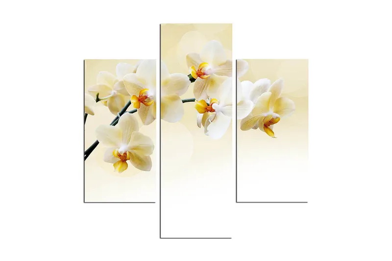 Koristeellinen MDF Maalaus (3 kpl), undefined