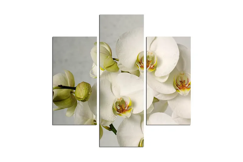 Koristeellinen MDF Maalaus (3 kpl), undefined