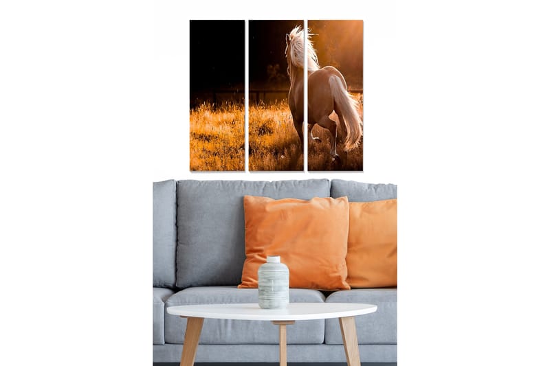 Koristeellinen MDF-maalaus 3-os 20x50 cm - Monivärinen - Sisustustuotteet - Taulu & taide - Canvas-taulu