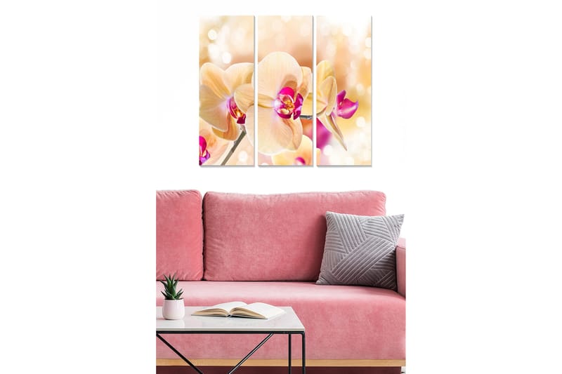 Koristeellinen MDF-maalaus 3-os 20x50 cm - Monivärinen - Sisustustuotteet - Taulu & taide - Canvas-taulu