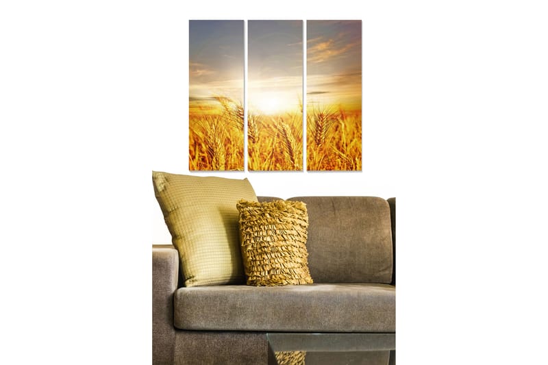 Koristeellinen MDF-maalaus 3-os 20x50 cm - Monivärinen - Sisustustuotteet - Taulu & taide - Canvas-taulu