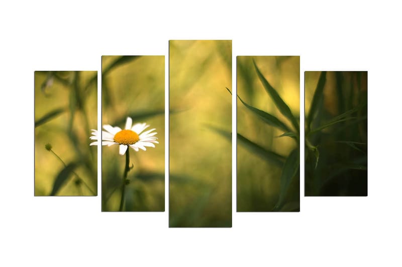 Koristeellinen MDF Maalaus (5 kpl), undefined