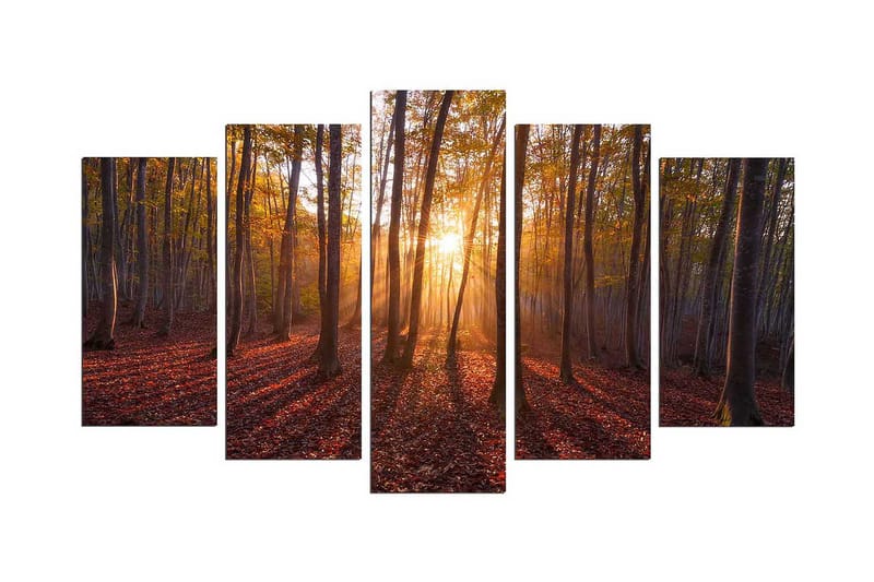 Koristeellinen MDF Maalaus (5 kpl), undefined