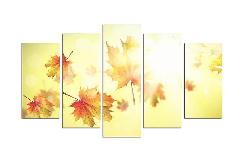 Koristeellinen MDF Maalaus (5 kpl), undefined