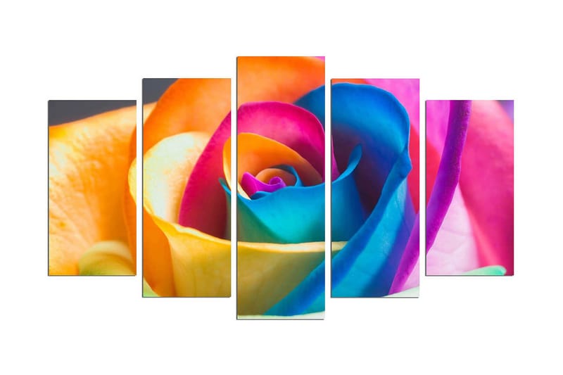 Koristeellinen MDF Maalaus (5 kpl), undefined