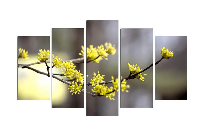 Koristeellinen MDF Maalaus (5 kpl) - Sisustustuotteet - Taulu & taide - Canvas-taulu