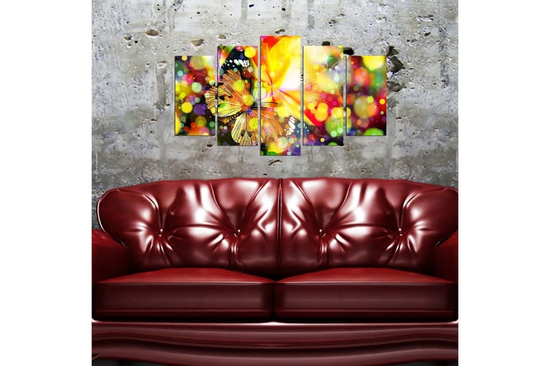 Koristeellinen MDF Maalaus (5 kpl) - Sisustustuotteet - Taulu & taide - Canvas-taulu