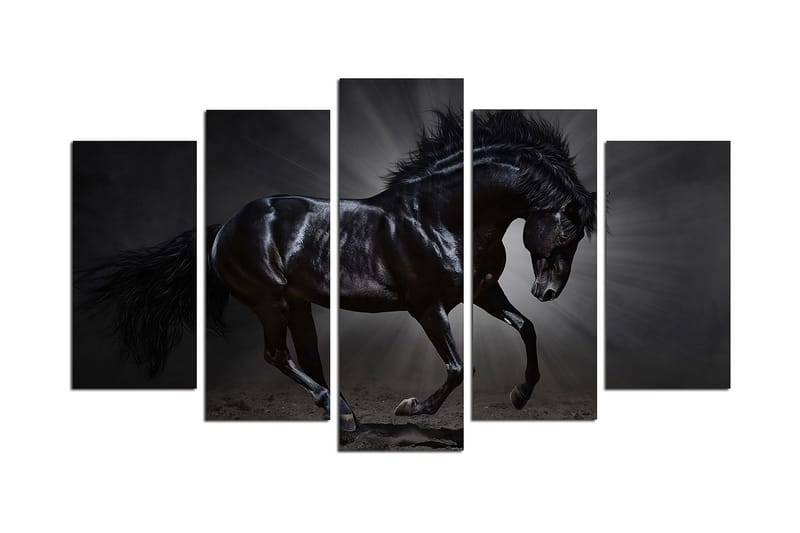 Koristeellinen MDF Maalaus (5 kpl) - Sisustustuotteet - Taulu & taide - Canvas-taulu