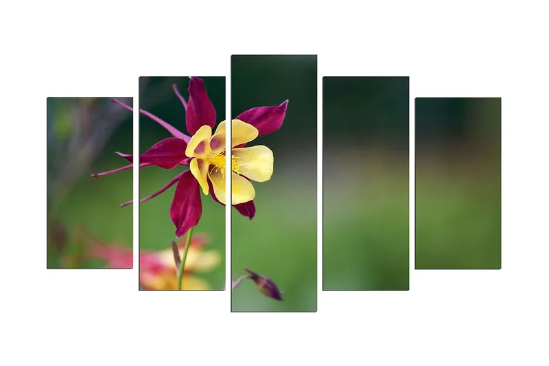 Koristeellinen MDF Maalaus (5 kpl), undefined