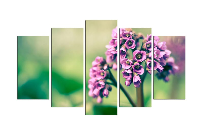 Koristeellinen MDF Maalaus (5 kpl), undefined