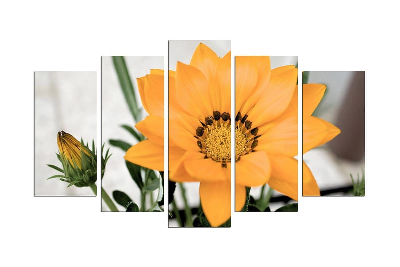 Koristeellinen MDF Maalaus (5 kpl), undefined