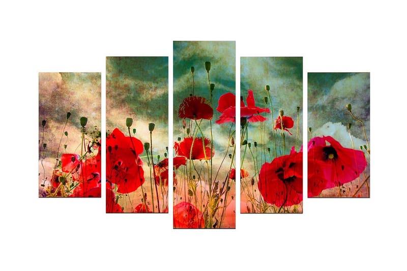 Koristeellinen MDF Maalaus (5 kpl) - Sisustustuotteet - Taulu & taide - Canvas-taulu