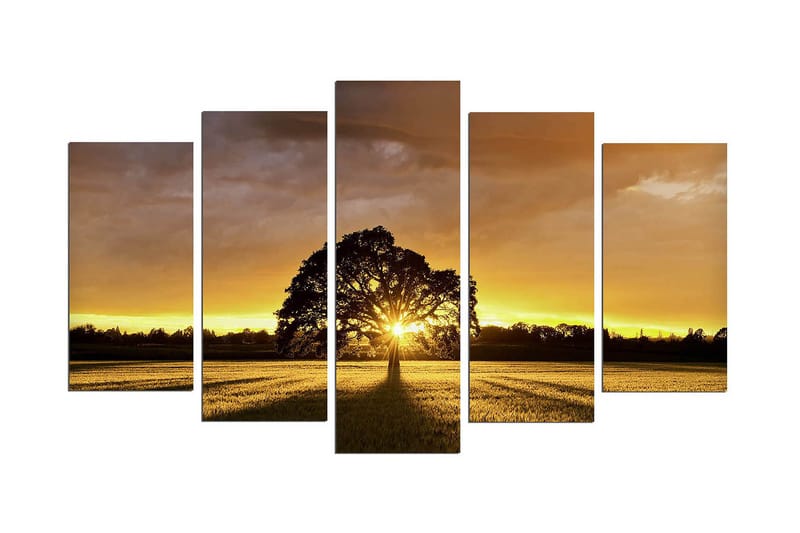 Koristeellinen MDF Maalaus (5 kpl), undefined