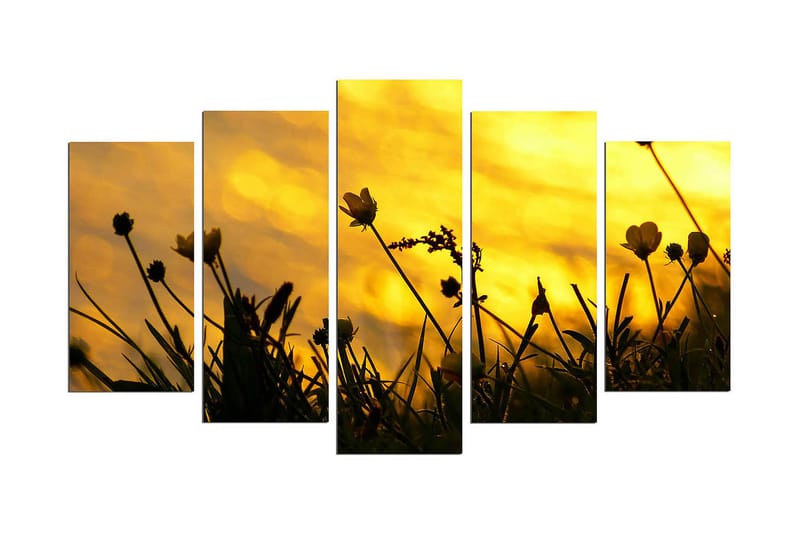 Koristeellinen MDF Maalaus (5 kpl), undefined