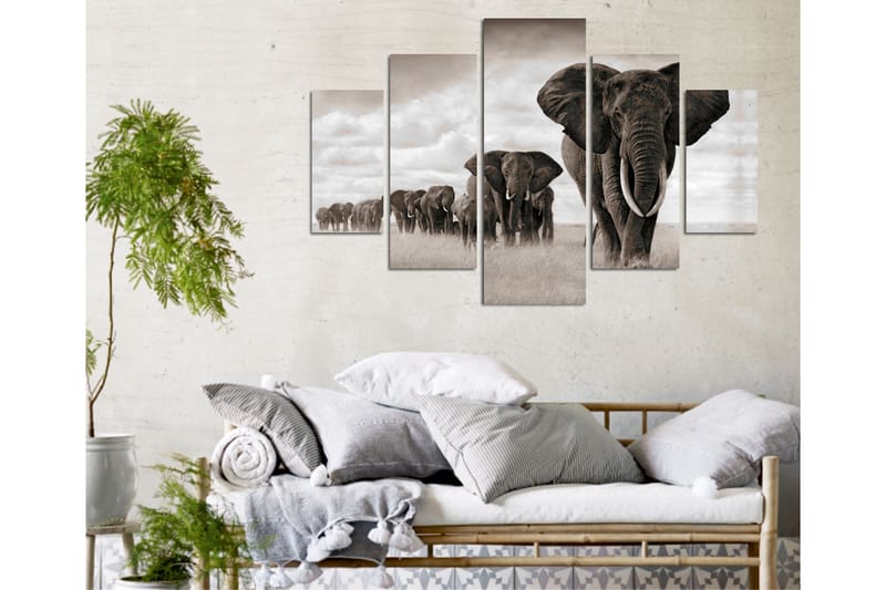 Koristeellinen MDF Maalaus (5 kpl) - Sisustustuotteet - Taulu & taide - Canvas-taulu