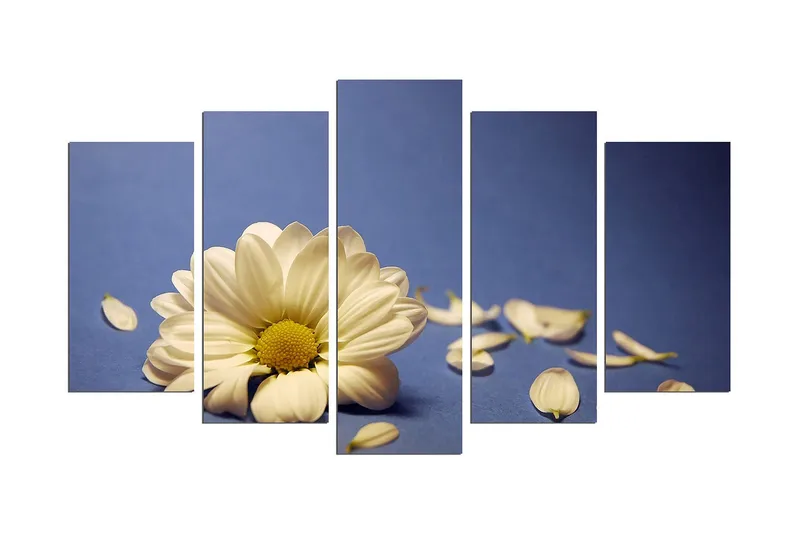 Koristeellinen MDF Maalaus (5 kpl), undefined