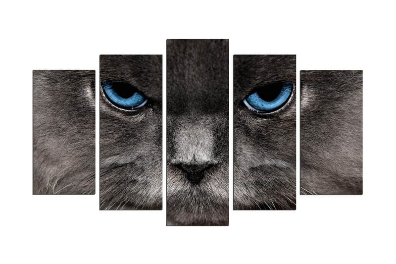 Koristeellinen MDF Maalaus (5 kpl), undefined