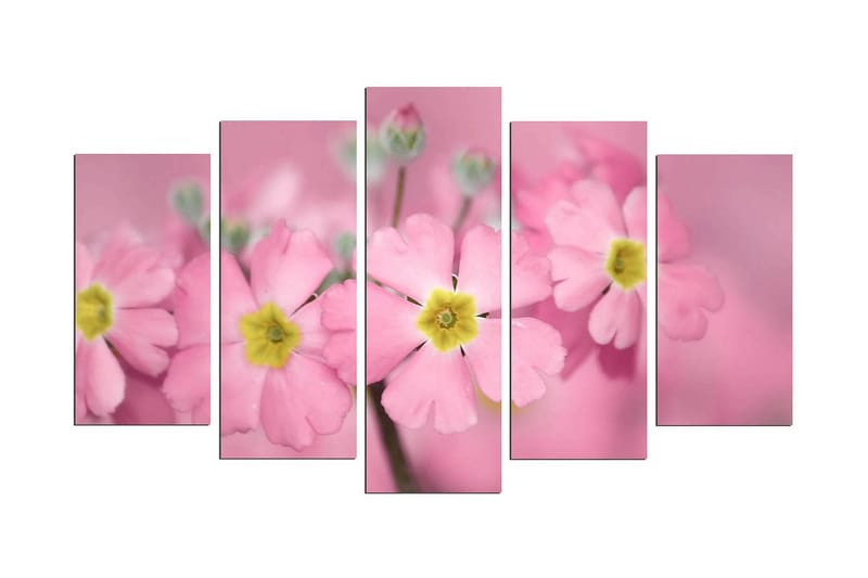 Koristeellinen MDF Maalaus (5 kpl), undefined