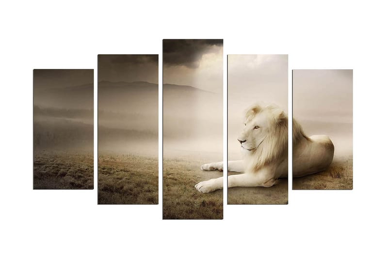 Koristeellinen MDF Maalaus (5 kpl), undefined