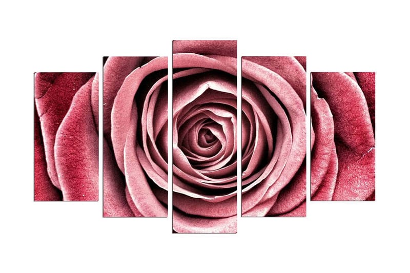 Koristeellinen MDF Maalaus (5 kpl), undefined