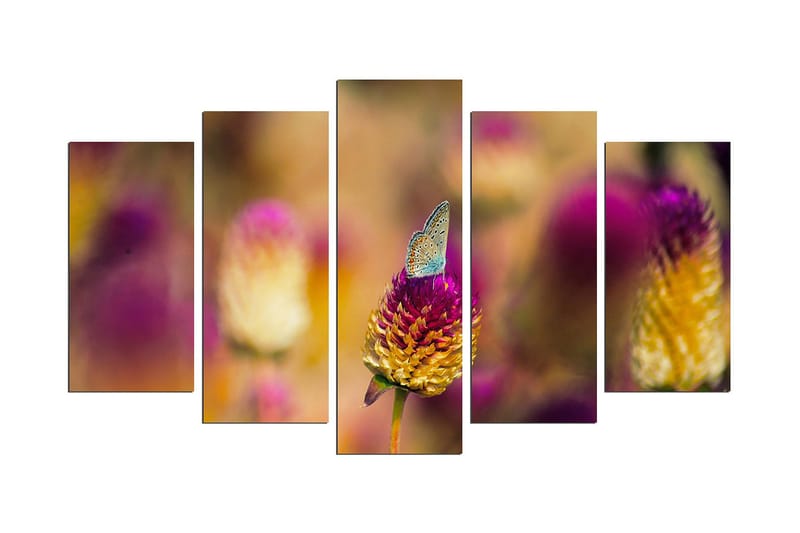 Koristeellinen MDF Maalaus (5 kpl), undefined