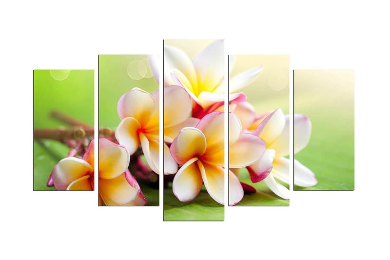 Koristeellinen MDF Maalaus (5 kpl), undefined