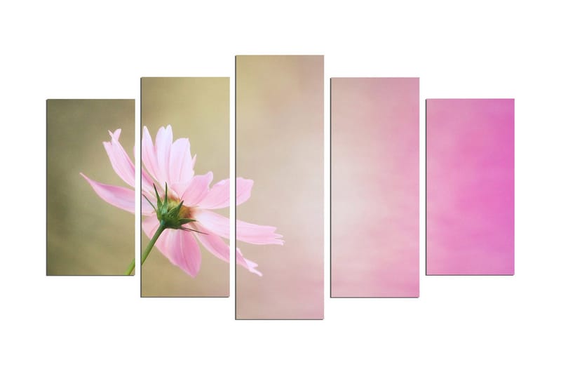 Koristeellinen MDF Maalaus (5 kpl), undefined