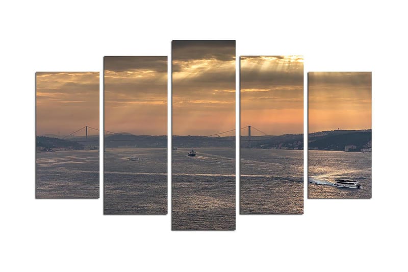 Koristeellinen MDF-maalaus 5-os 20x60 cm, Monivärinen