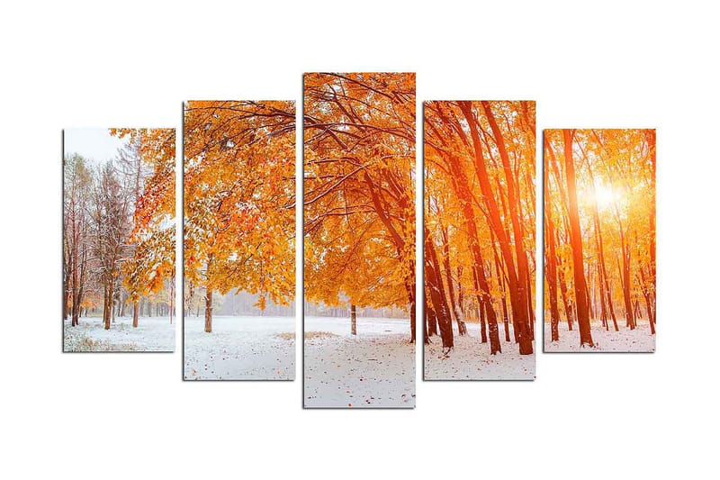 Koristeellinen MDF-maalaus 5-os 20x60 cm, Monivärinen