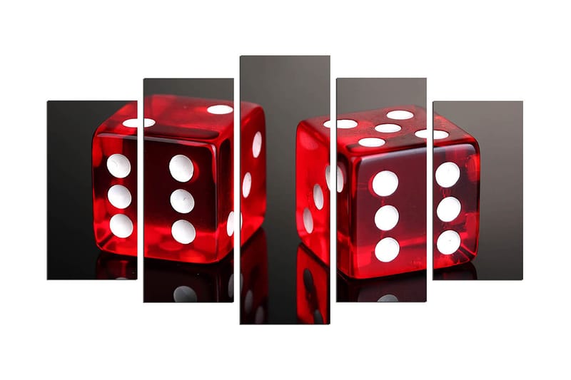 Koristeellinen MDF-maalaus 5-os 20x60 cm, Monivärinen