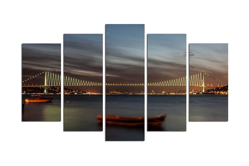 Koristeellinen MDF-maalaus 5-os 20x60 cm, Monivärinen