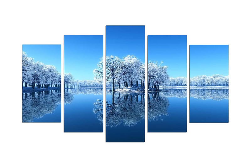 Koristeellinen MDF-maalaus 5-os 20x60 cm, Monivärinen