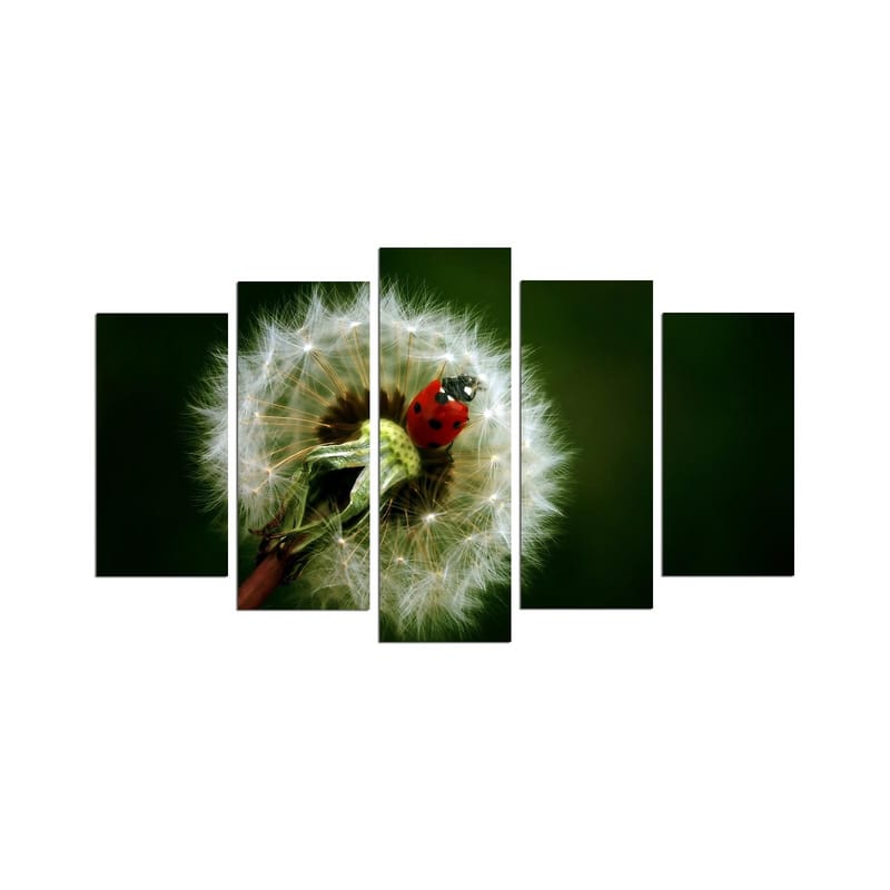 Koristeellinen MDF-maalaus 5-os 20x60 cm, Monivärinen