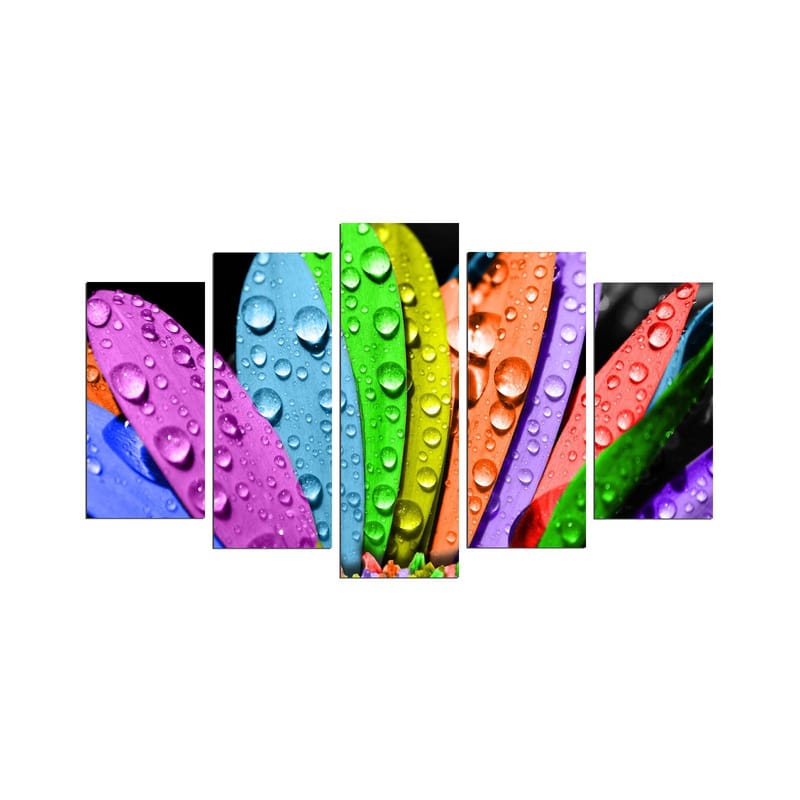 Koristeellinen MDF-maalaus 5-os 20x60 cm, Monivärinen