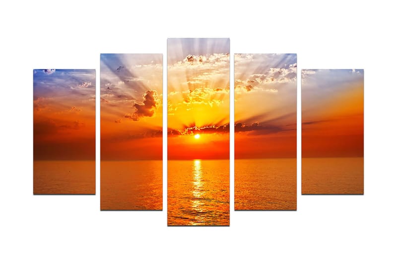 Koristeellinen MDF-maalaus 5-os 20x60 cm, Monivärinen