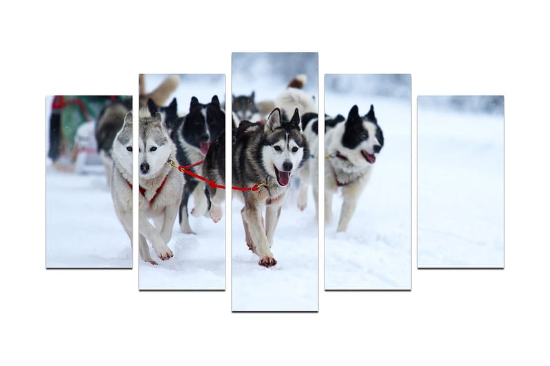 Koristeellinen MDF-maalaus 5-os 20x60 cm, Monivärinen