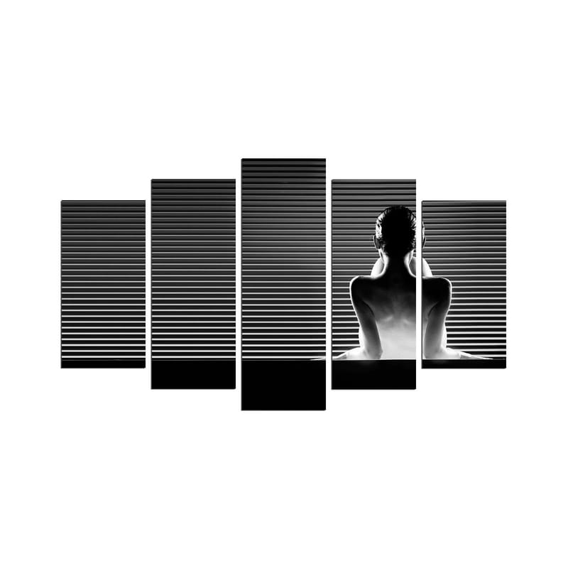 Koristeellinen MDF-maalaus 5-os 20x60 cm, Monivärinen